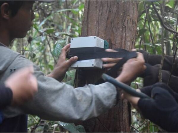 galeri - nativenesia (3)