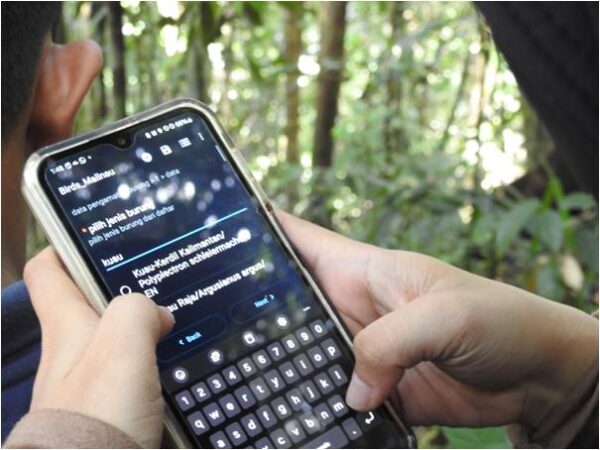 galeri - nativenesia (4)